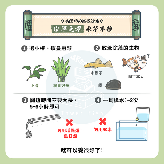 超新手水草選擇與照護簡介