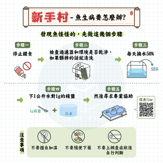 Mission 17 魚生病了該怎麼辦?