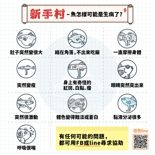 Mission 16 魚生病的表現