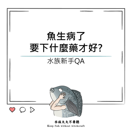 魚生病了要下什麼藥才好?
