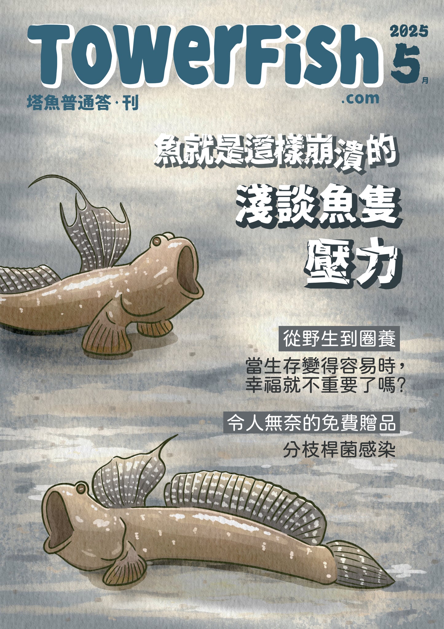 塔魚普通答‧刊 2025年5月刊(電子版)