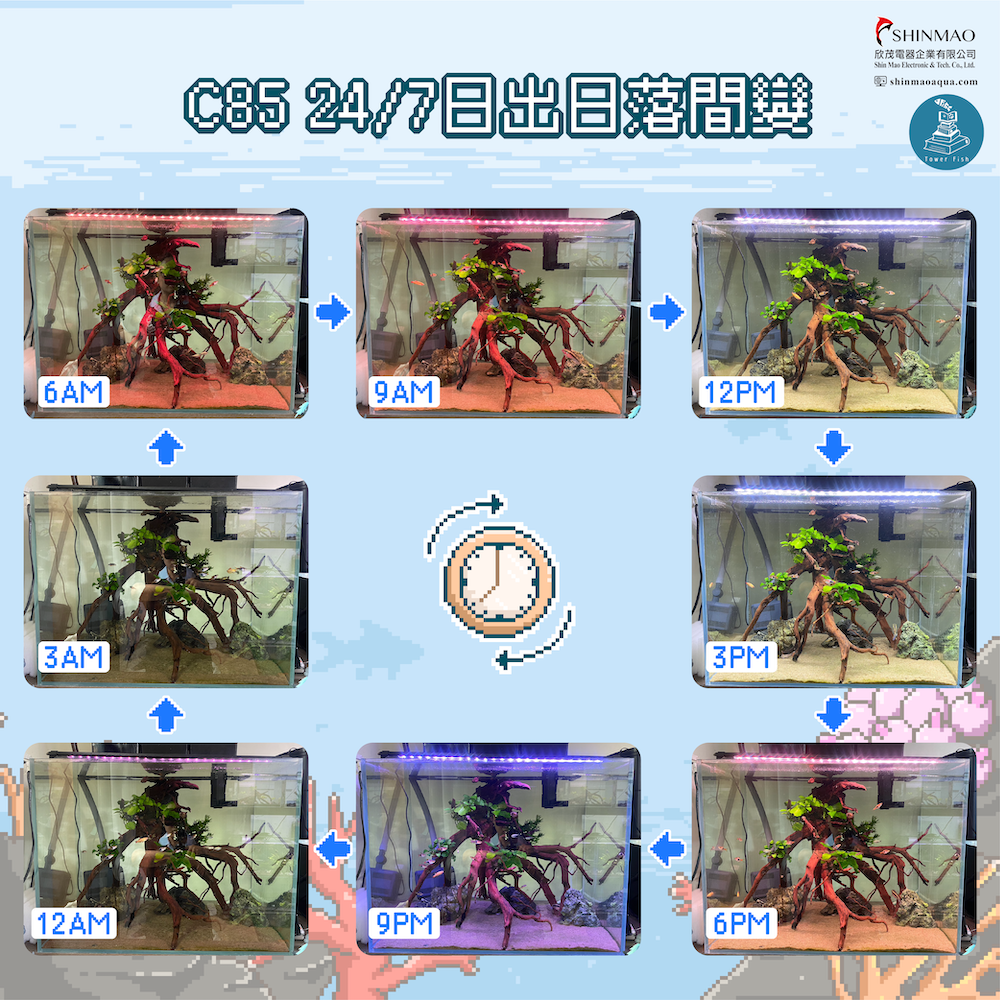 KL 24/7 自然生態遙控燈 APP遙控 漸變燈光 日出日落