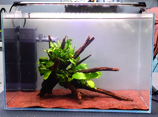 Rio+ 400沉水過濾器 PF400