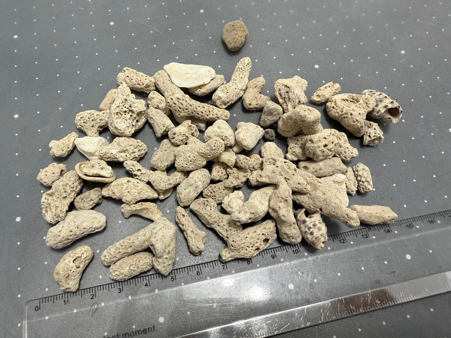零散石頭、底砂特賣,售完為止