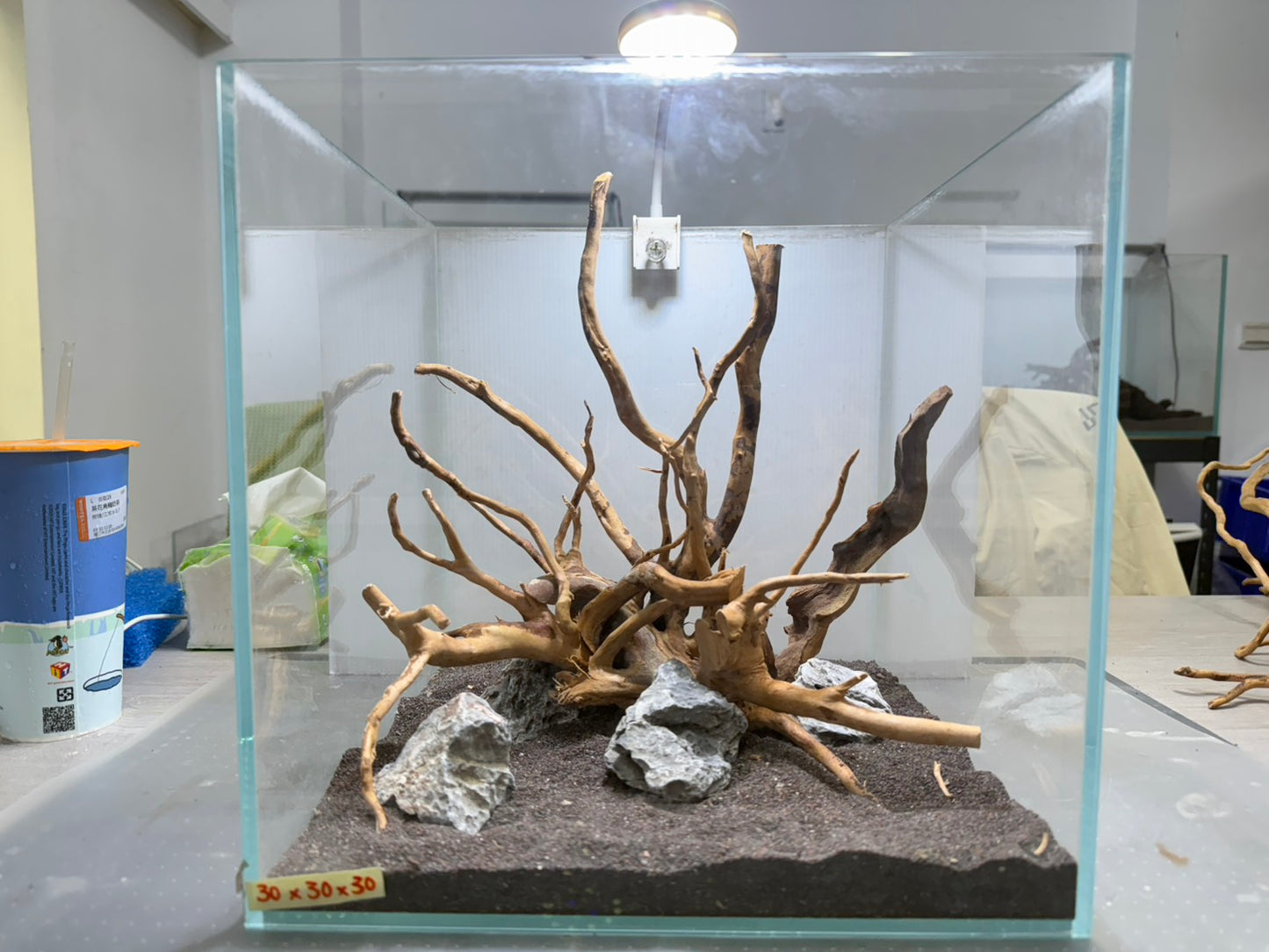 30立方缸(30*30*30) 沉木造景