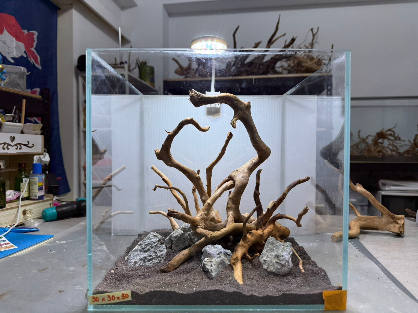 30立方缸(30*30*30) 沉木造景