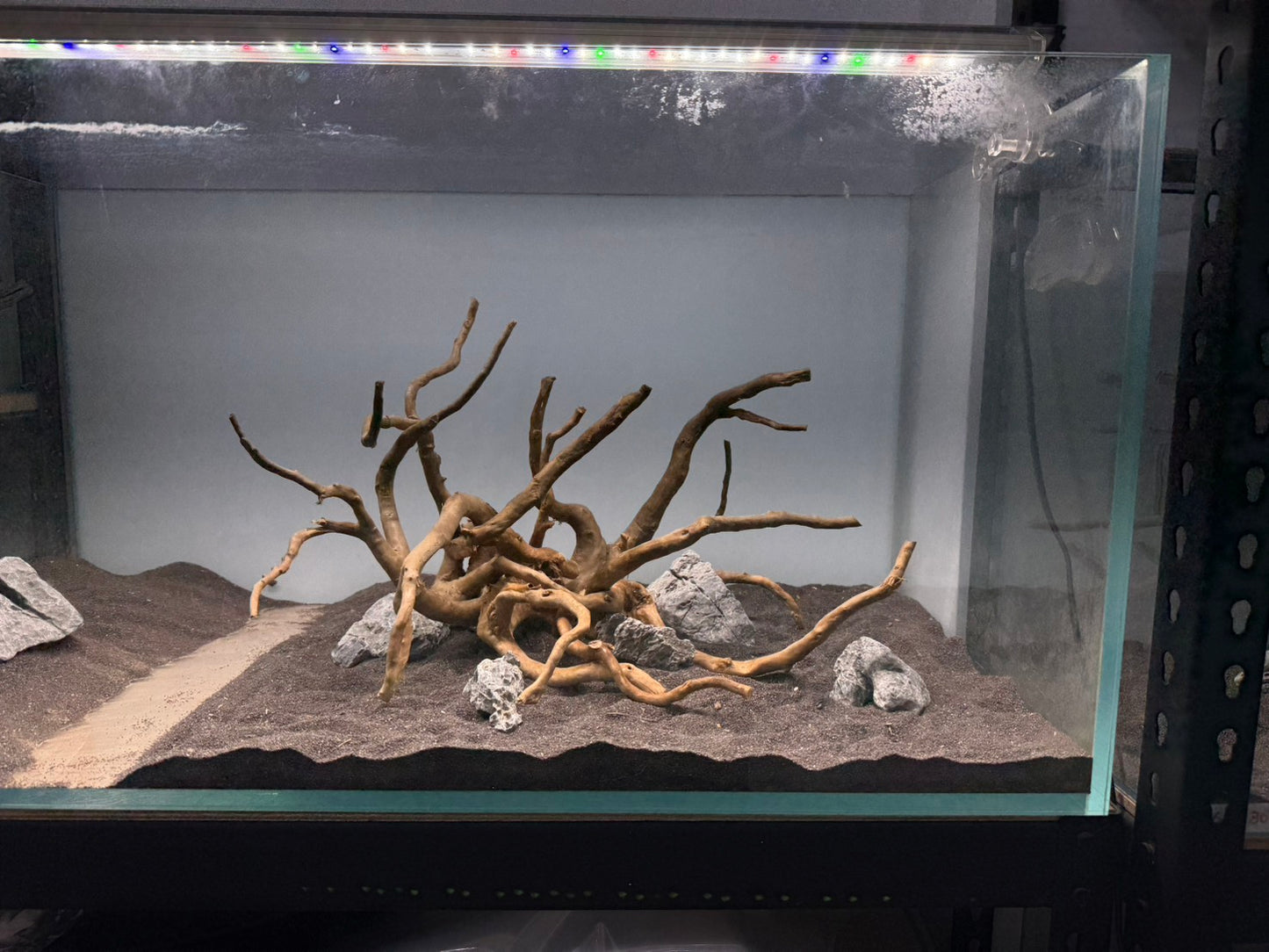 2尺高缸(60*45*45) 沉木造景