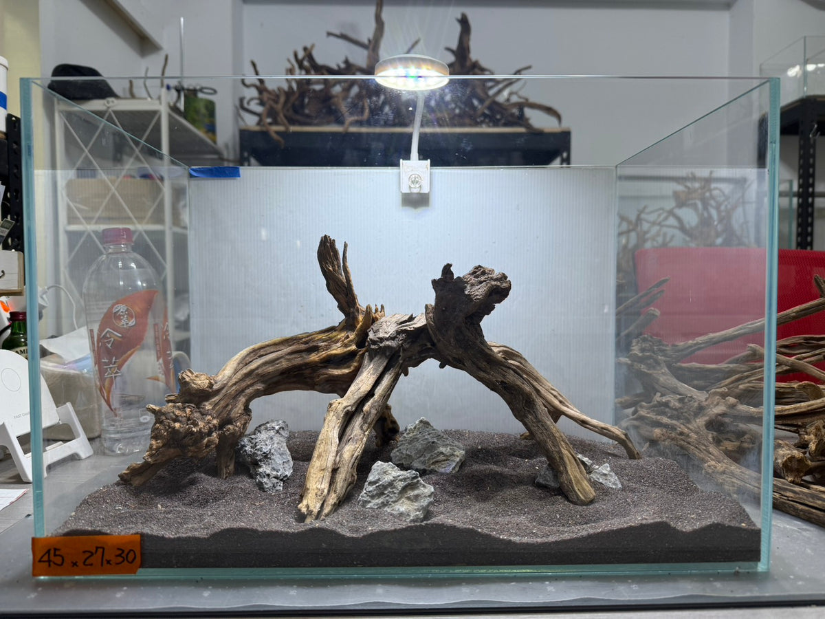 1.5尺標準缸(45*27*30) 沉木造景