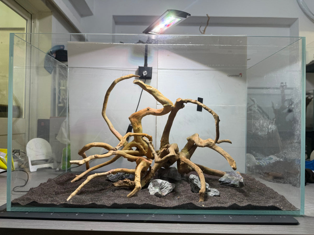 2尺標準缸(60*30*36) 沉木造景