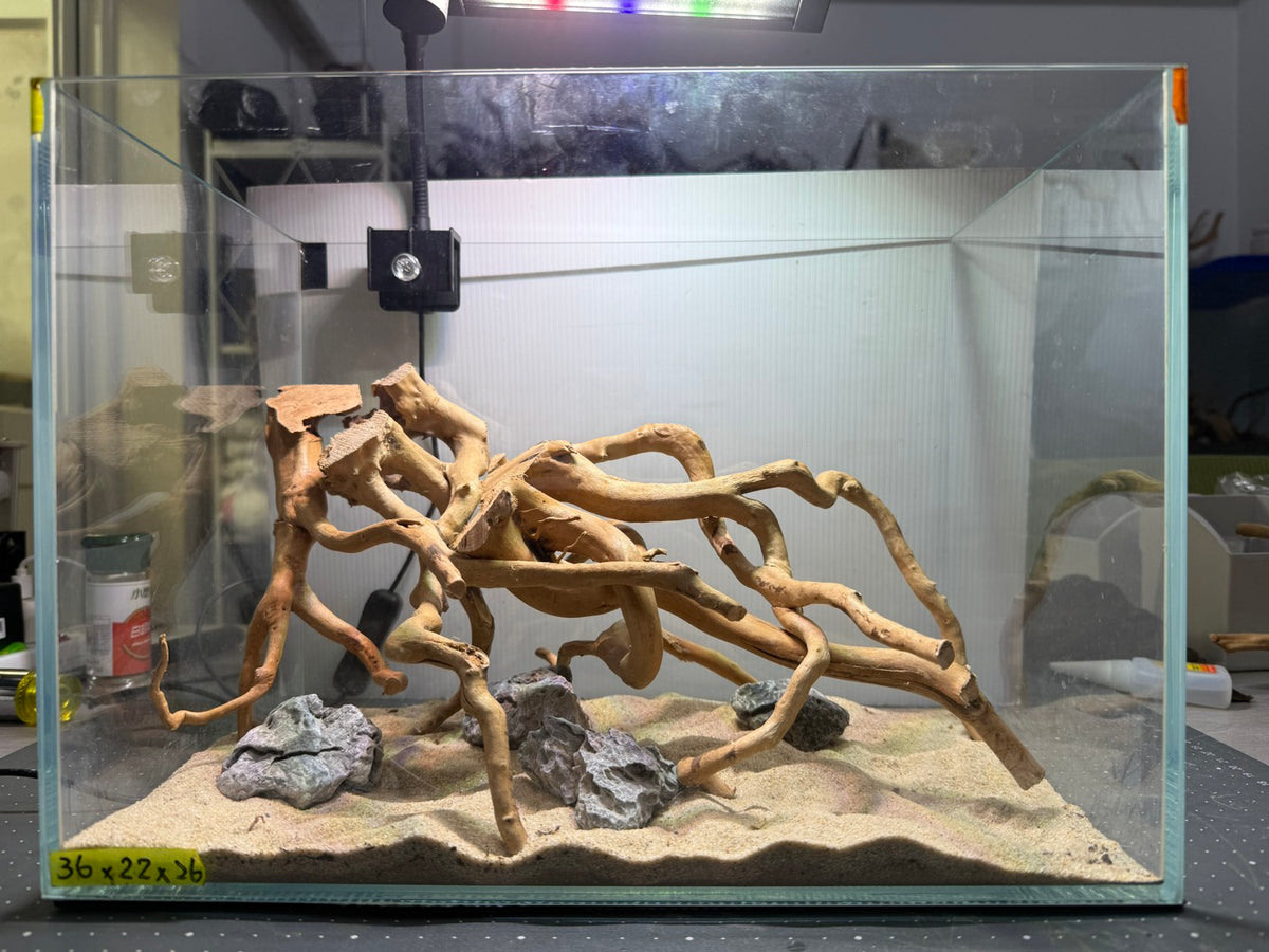 1.2尺標準缸(36*22*26) 沉木造景