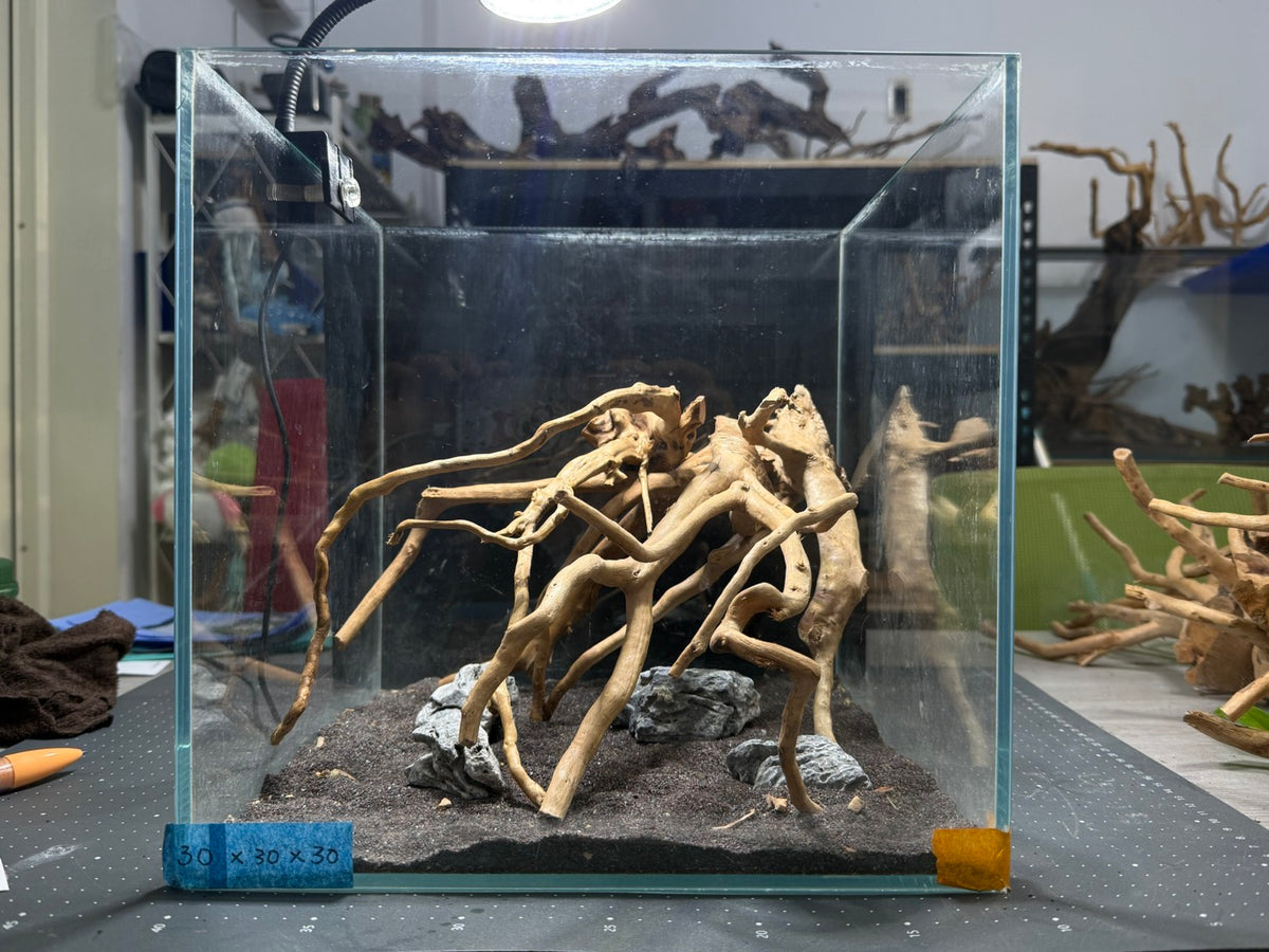 30立方缸(30*30*30) 沉木造景