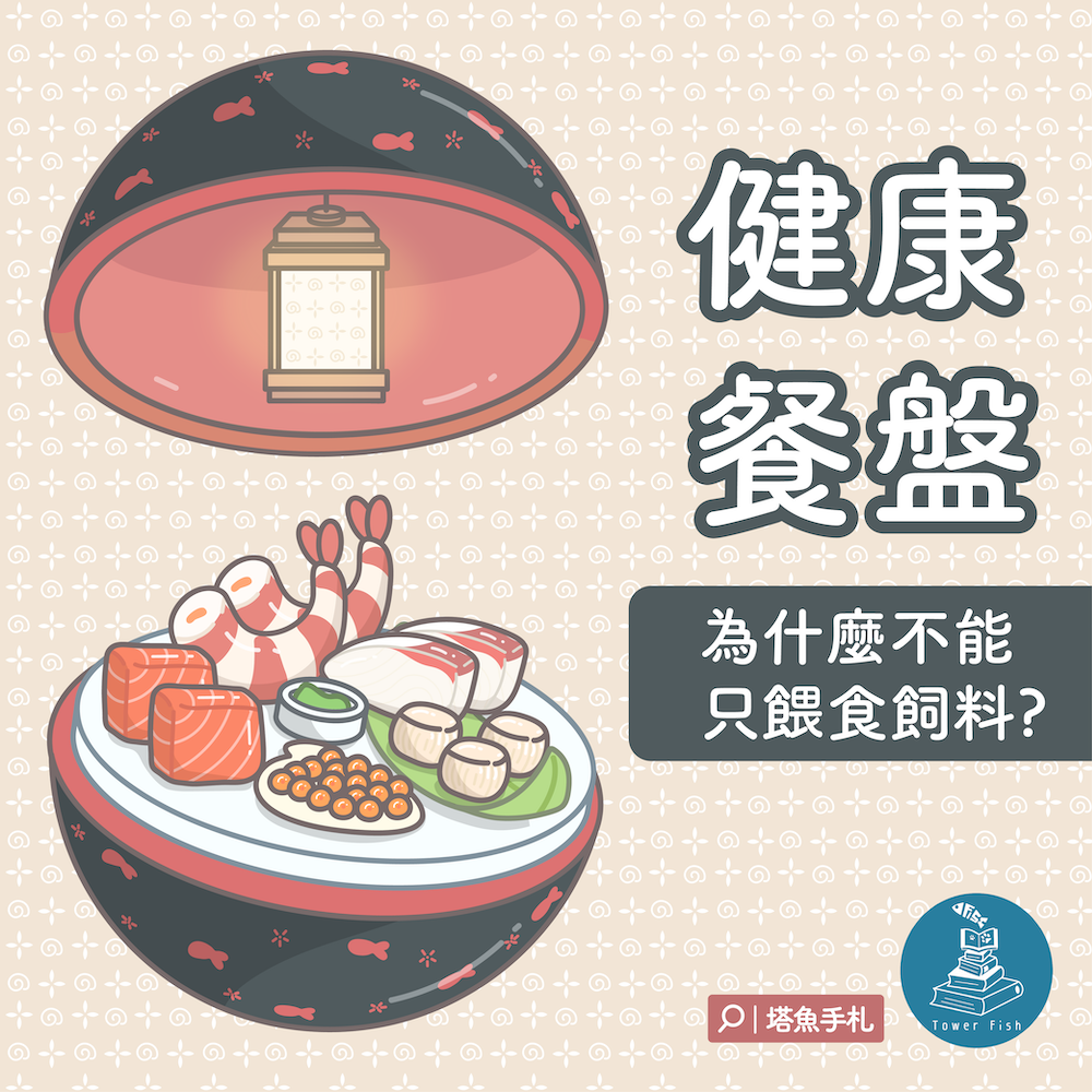健康餐盤-關於營養