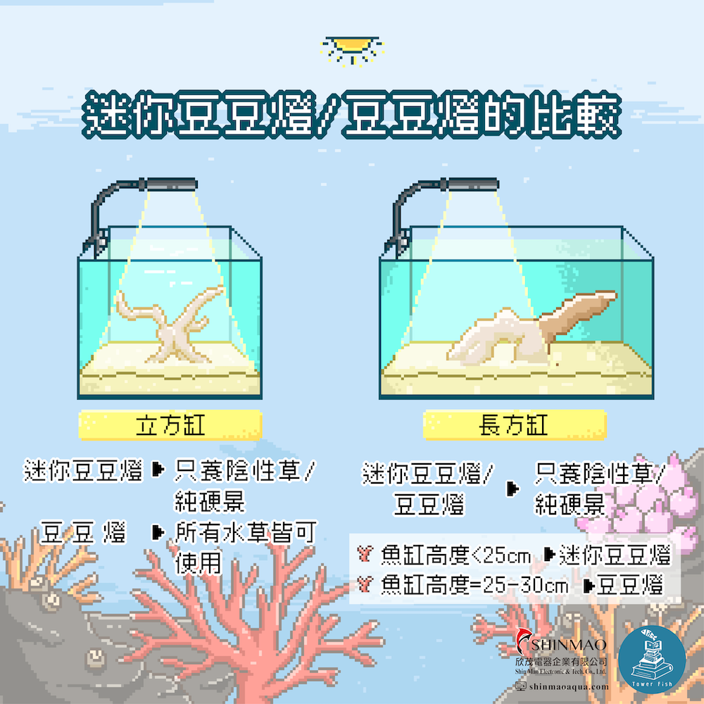 豆豆迷你夾燈/豆豆夾燈 黑白雙色 1.5尺以下魚缸適用