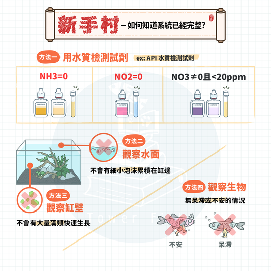 Mission 10 怎麼知道系統建立完全了呢?