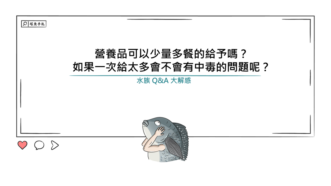 營養品的劑量可以隨心調整嗎？從魚類生理，了解魚類營養劑量的設計邏輯