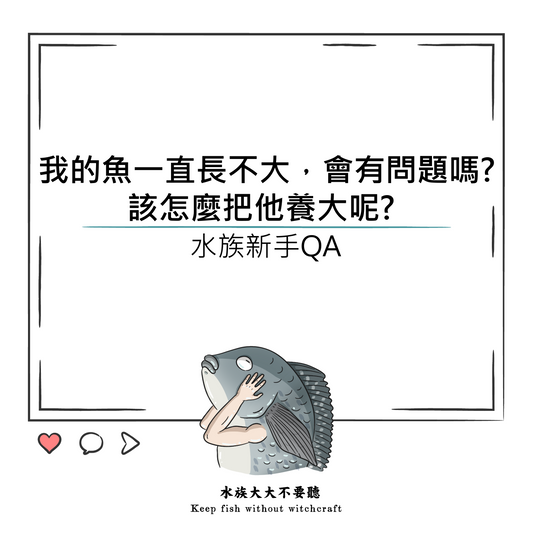 我的魚一直長不大，會有問題嗎? 該怎麼把他養大呢?
