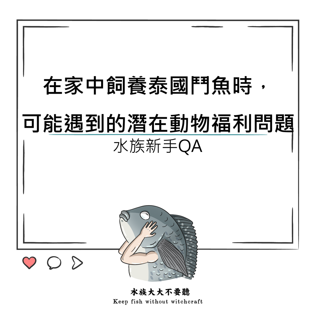 在家中飼養泰國鬥魚時，可能遇到的潛在動物福利問題