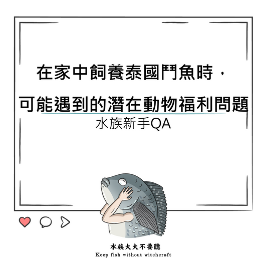 在家中飼養泰國鬥魚時，可能遇到的潛在動物福利問題