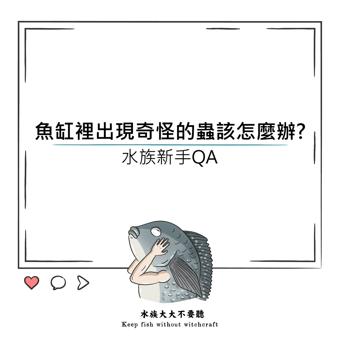 魚缸裡出現奇怪的蟲該怎麼辦?