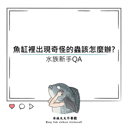 魚缸裡出現奇怪的蟲該怎麼辦?
