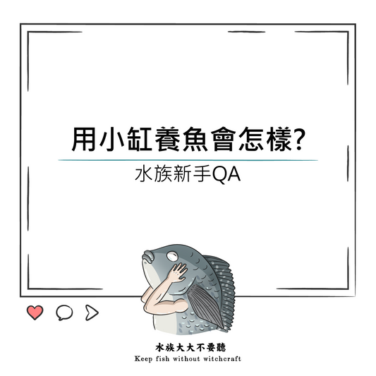 用小缸養魚會怎樣?