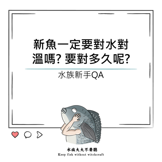 新魚一定要對水對溫嗎? 要對多久呢?