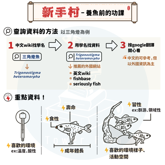 新手養魚前的功課