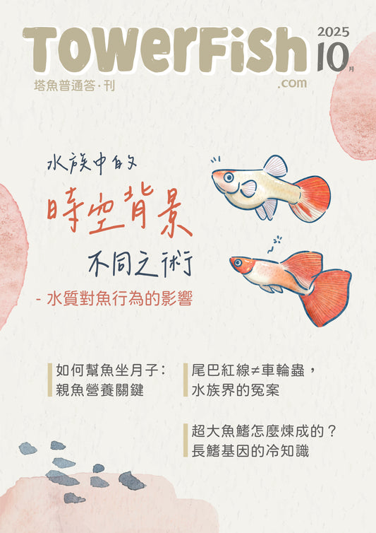 塔魚普通答‧刊 2025年10月刊(電子版)