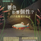 塔魚普通答‧刊 2025年7月刊(電子版)