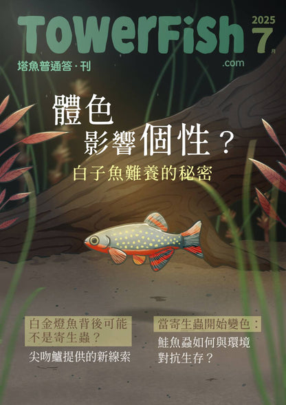 塔魚普通答‧刊 2025年7月刊(電子版)
