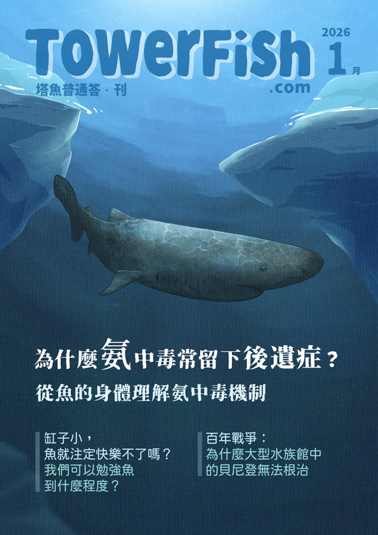 塔魚普通答‧刊 2026年1月刊(電子版)