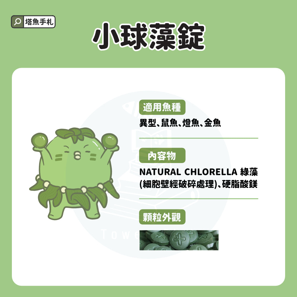 小球藻錠（淡水魚補充食物｜100顆）