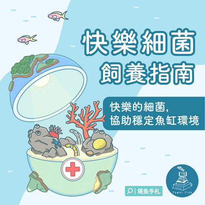 快樂細菌飼養指南-關於水質