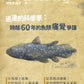 塔魚普通答‧刊 2025年9月刊(電子版)
