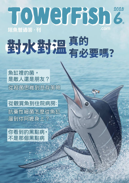 塔魚普通答‧刊 2025年6月刊(電子版)