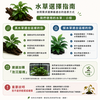 3尺缸假水草黏貼服務