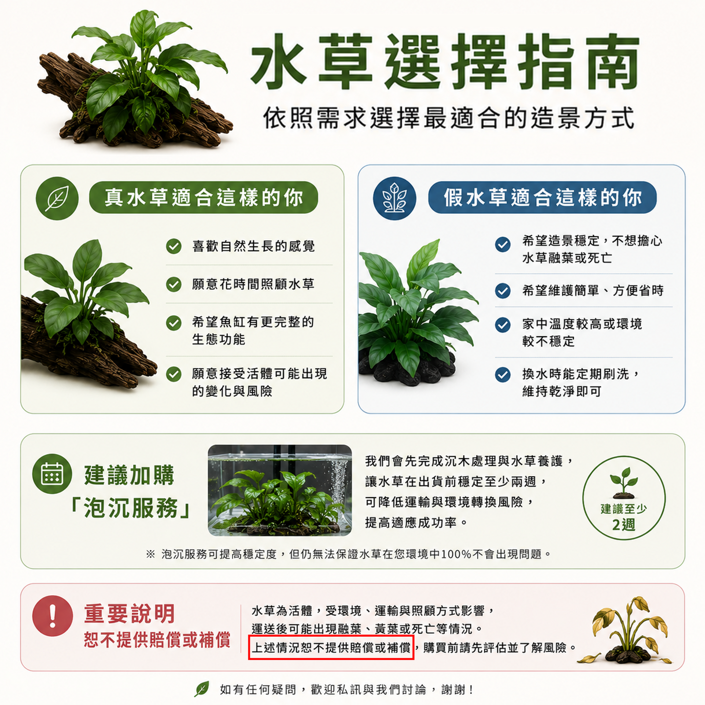 1尺假水草黏貼服務