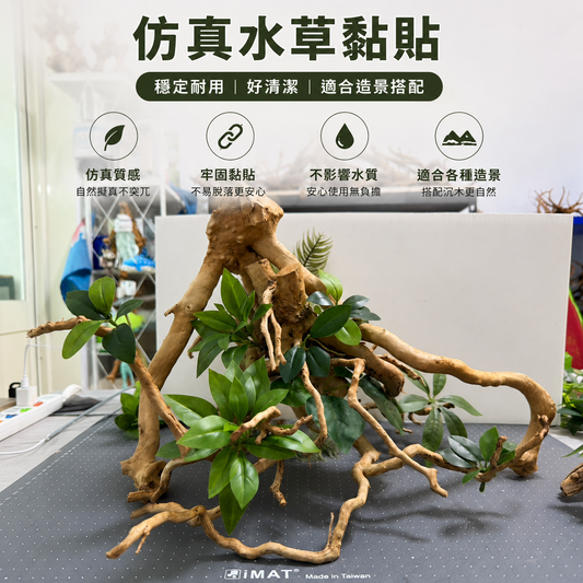 1尺假水草黏貼服務