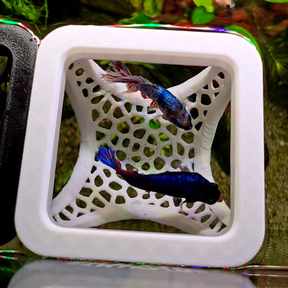 3D列印漂浮床／漂浮管（鬥魚用）