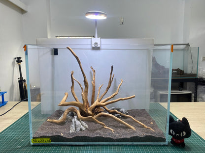 1.2尺標準缸(36*22*26) 沉木造景