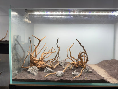 2尺高缸(60*45*45) 沉木造景