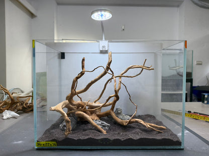 1.2尺標準缸(36*22*26) 沉木造景