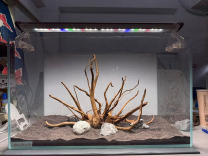 2尺標準缸(60*30*36) 沉木造景