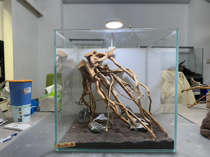 30立方缸(30*30*30) 沉木造景