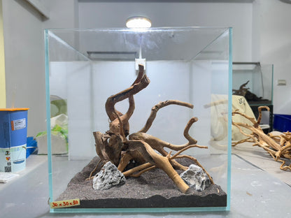 30立方缸(30*30*30) 沉木造景