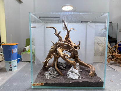30立方缸(30*30*30) 沉木造景