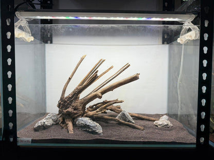 2尺標準缸(60*30*36) 沉木造景