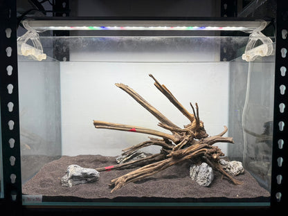 2尺標準缸(60*30*36) 沉木造景