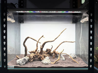 2尺標準缸(60*30*36) 沉木造景