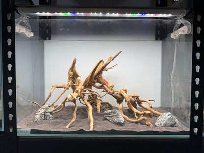 2尺標準缸(60*30*36) 沉木造景